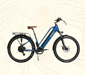 Bicycles & Gear Category